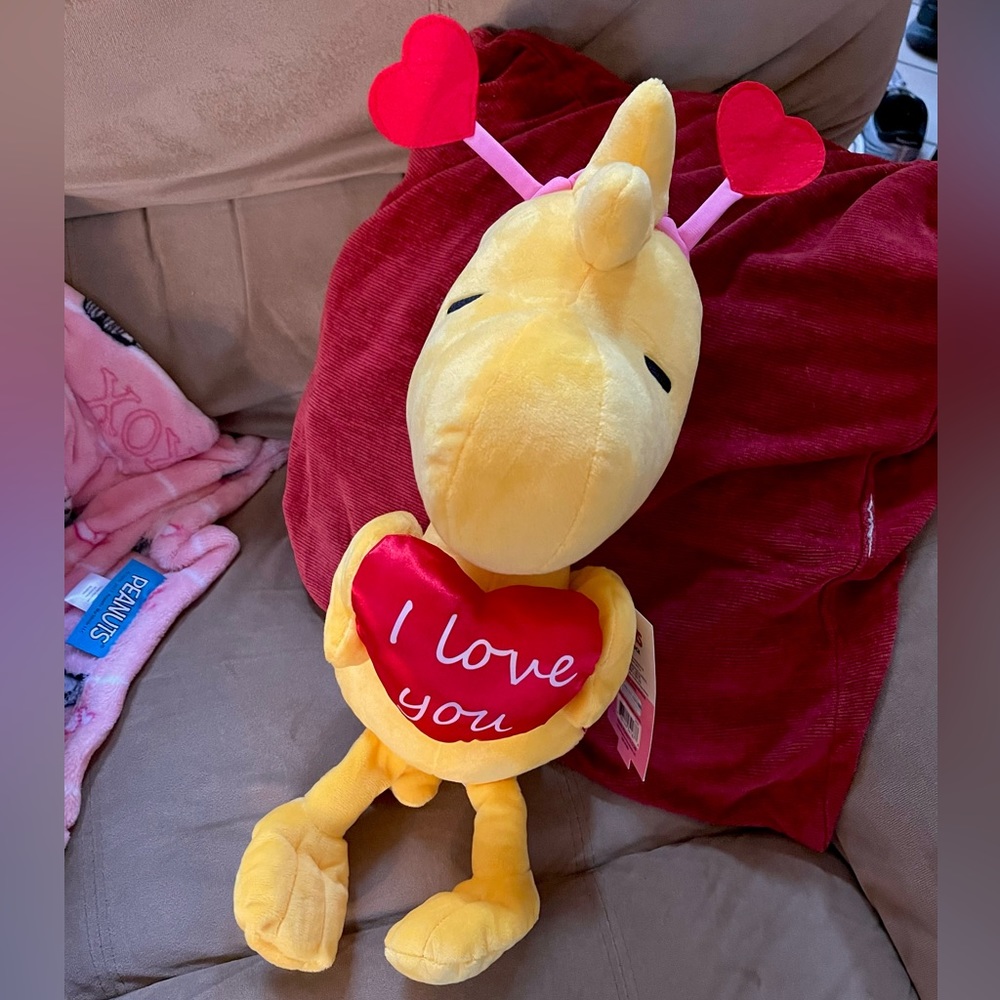 Valentine’s Day Woodstock